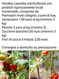 cassetta ortofrutticola 