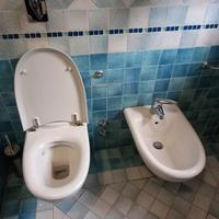 Coppia di sanitari sospesi