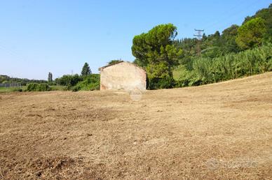 CASA INDIPENDENTE A CESENA
