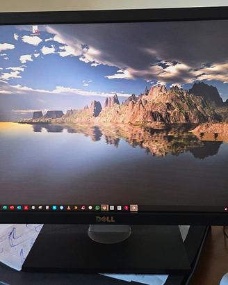 monitor 30 pollici Dell