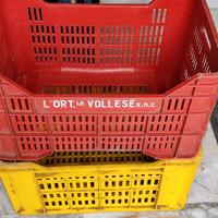 Cassetta per vendemmia