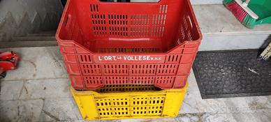 Cassetta per vendemmia