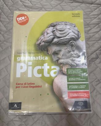 libro di latino grammatica picta