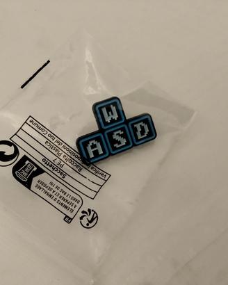 PIN gamer Wasd