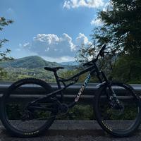 Rockrider Am 100 S