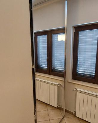 N.2 Ante per armadio con specchio 
