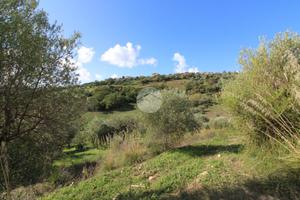 TER. AGRICOLO A AGROPOLI