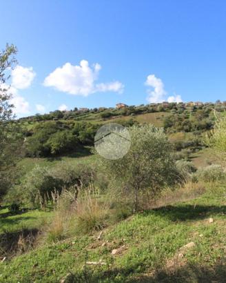 TER. AGRICOLO A AGROPOLI