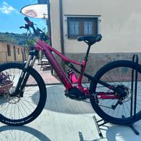 E-BIKE OLYMPIA EX 900 TRAIL