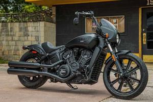 Indian Scout Rogue