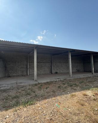 Terreno agricolo con capannone agrumeto e uliveto