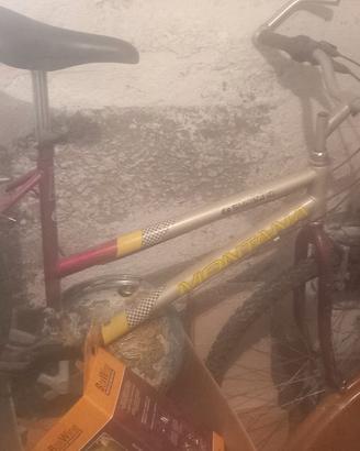 mountain bike