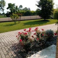 Stanza a Curtarolo (Padova)