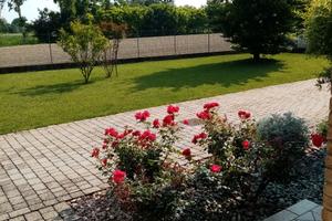 Stanza a Curtarolo (Padova)