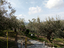 Immagine 6