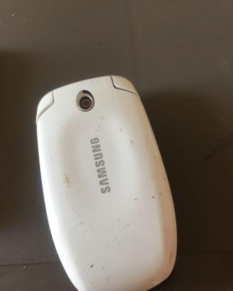 D3579NN-Cellulare Samsung SGH-C520