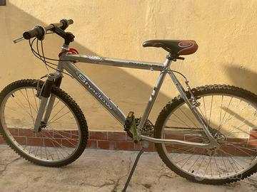 Bici da uomo