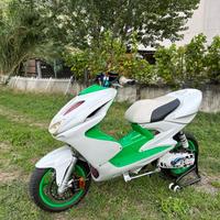 Yamaha Aerox Polini Evo 2009