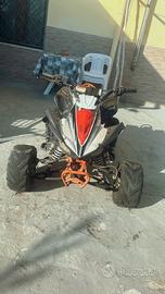 Quad Altro Altro modello