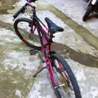 bicicletta Bianchi mountain bike