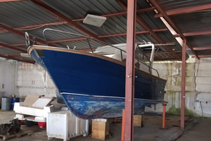 Barca 8.50 amelia 800