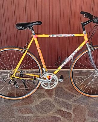 Bicicletta sportiva