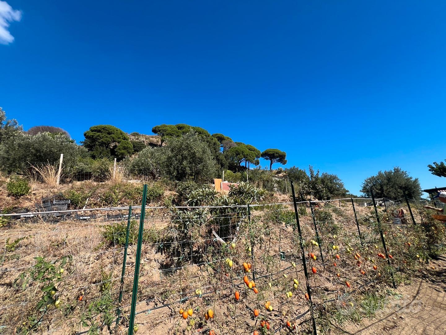 Terreno con palmento cucina e forno a legna - Vista 2