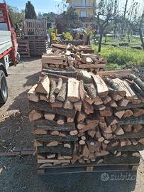 LEGNA DA ARDERE DISPONIBILITÀ IMMEDIATA A BN