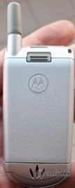 Motorola V150
