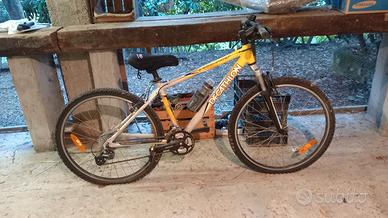 mountain bike