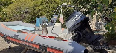 Carena catamarano 80 hp