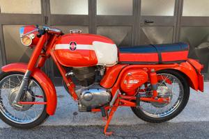 gilera 175 giubileo extra