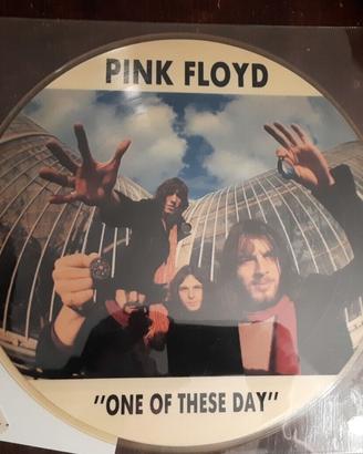 PINK FLOYD One of these days Picture Disc Con Boll