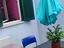 Immagine 11