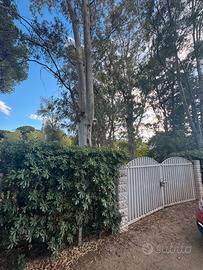 Terreno Roccelletta Di Borgia