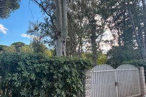 Terreno Roccelletta Di Borgia