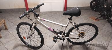 bicicletta adulto 