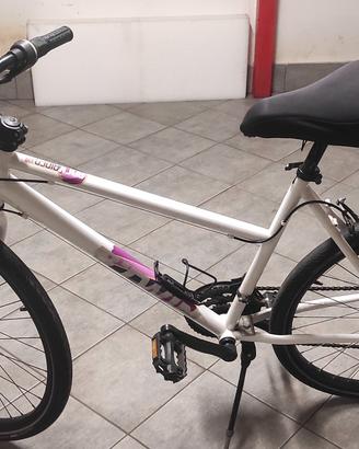 bicicletta adulto 