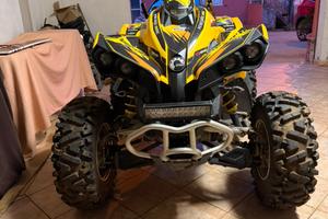 Can am renegade 500