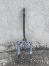 forcelle nrg e guarnizione peugeot