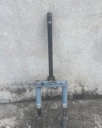 forcelle nrg e guarnizione peugeot