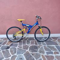 bicicletta ruote 26