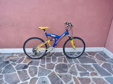 bicicletta ruote 26