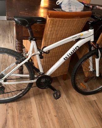 Bicicletta