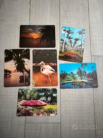 6 cartolkne europee vintage