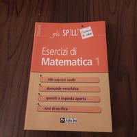 Esercizi di matematica 1 (Bigino)