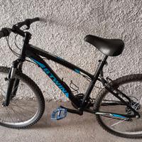 Bicicletta mountain bike