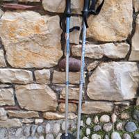 Racchette sci Rossignol 80