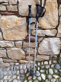 Racchette sci Rossignol 80