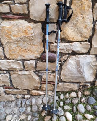 Racchette sci Rossignol 80